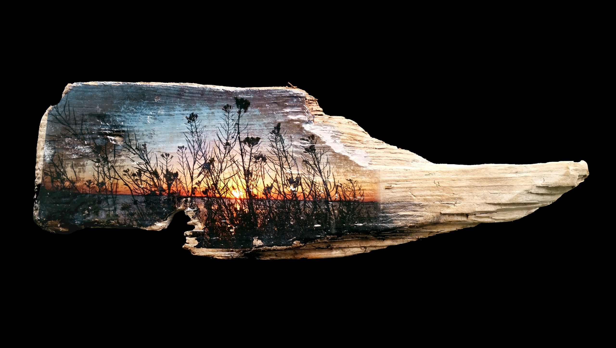 driftwood art by Calla Hueppe, Claudie Hamburg, Gezeiten-Hölzer