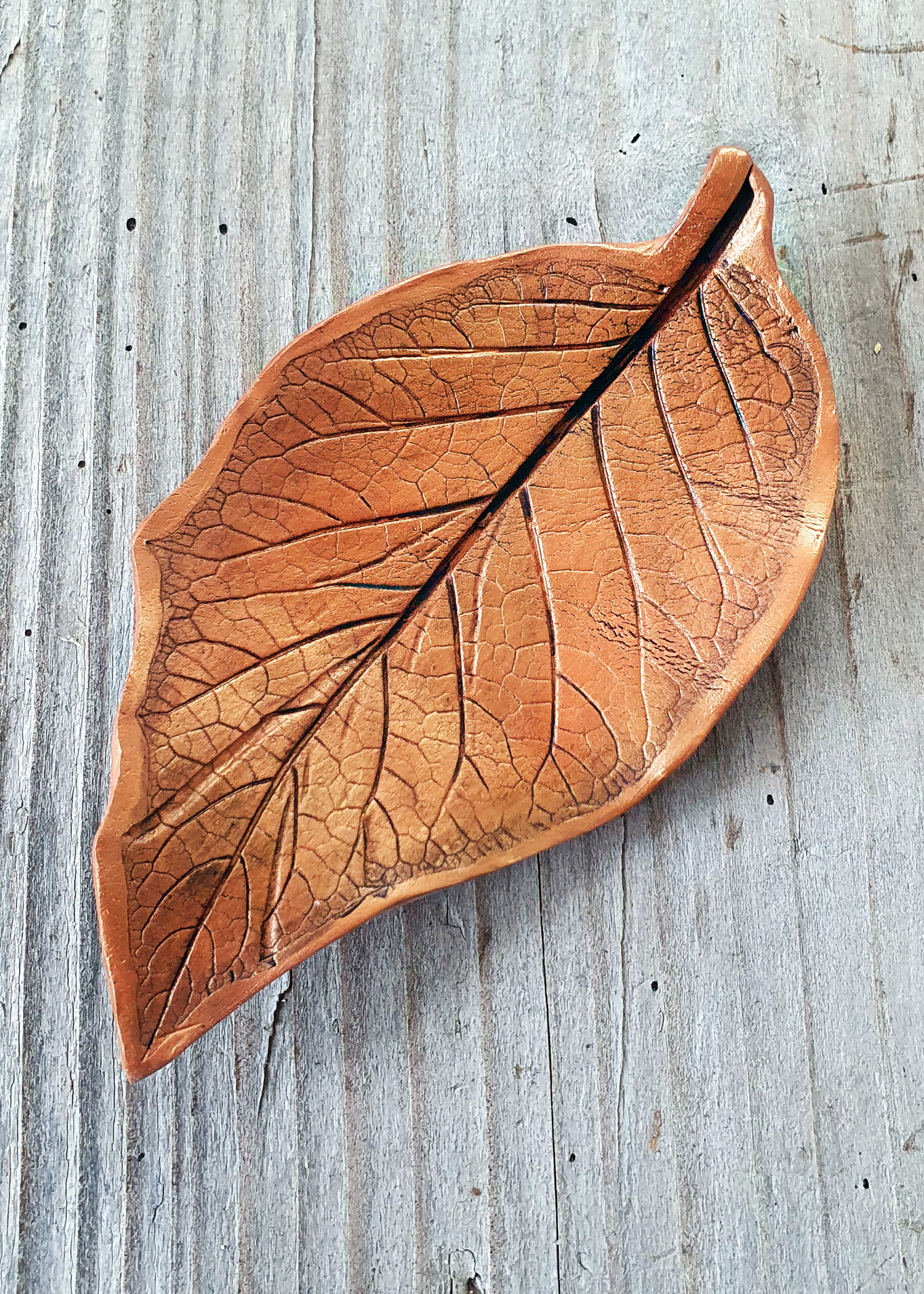 big Brugmansia clay leaf