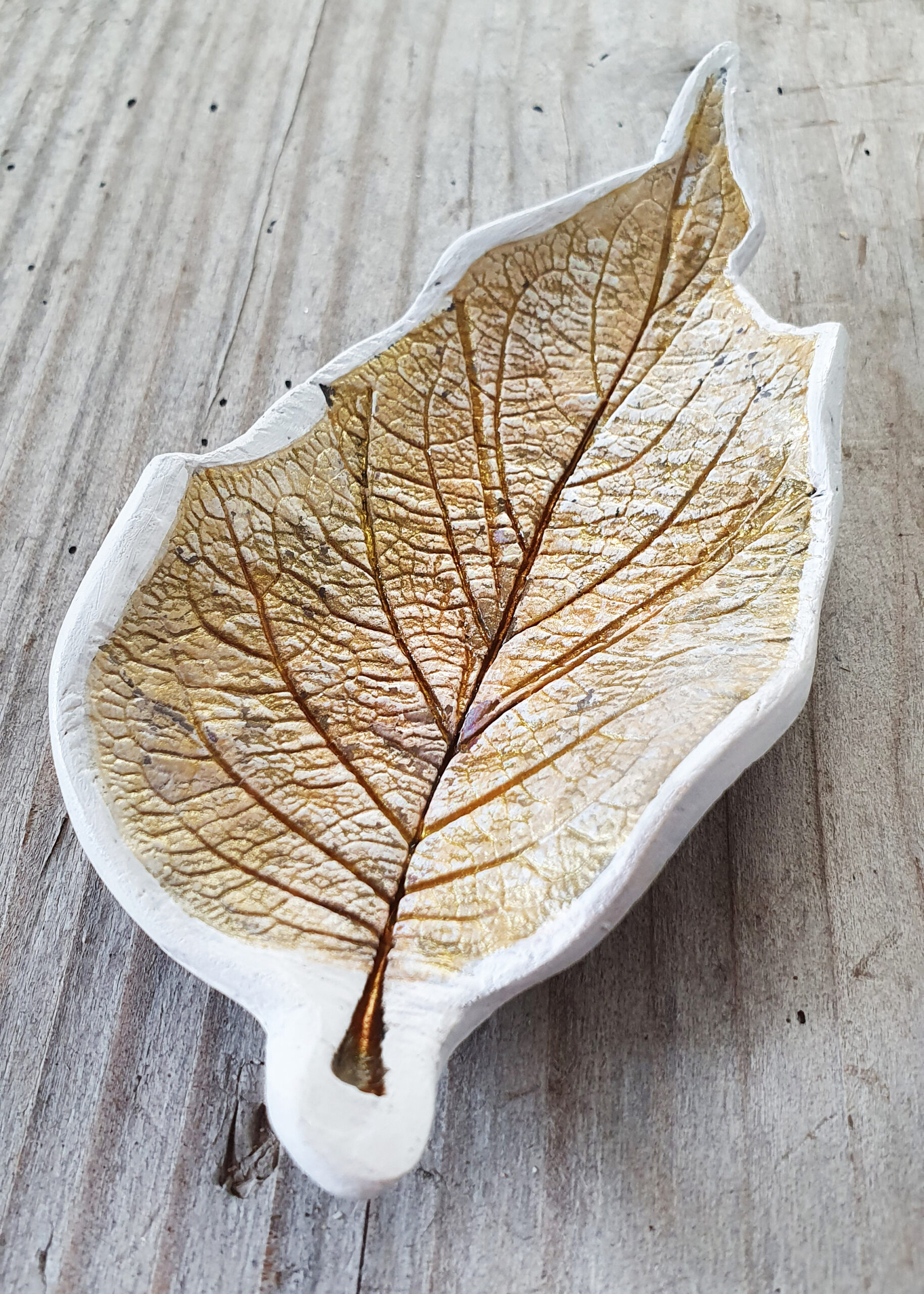 clay leaf made of Brugmansia, angels trumpet