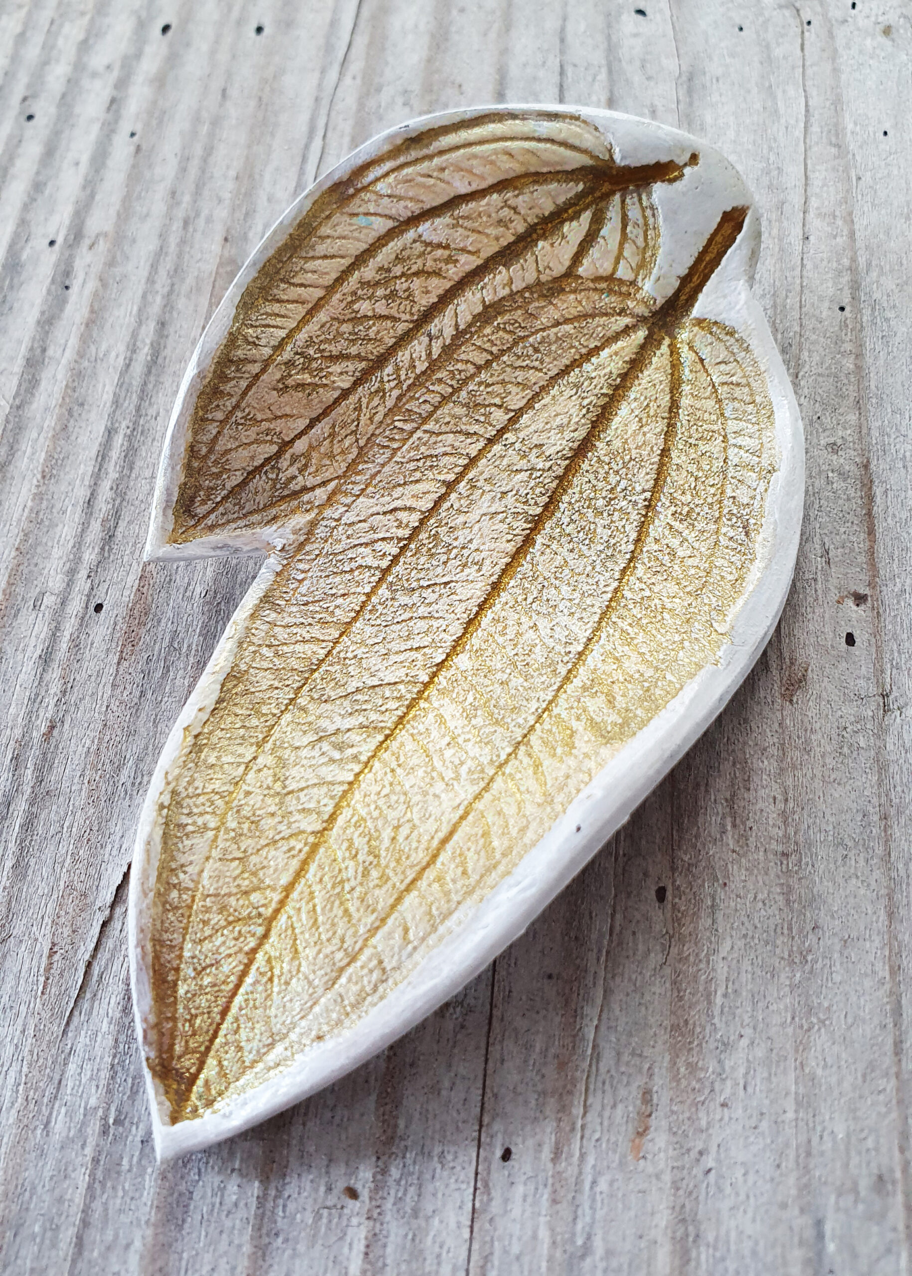 clay leaf of Urvilleana Tibouchina